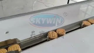 Skywin Sandwich biscuit machine connect with flow packing machine