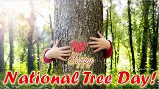 National Tree Day |National Tree Day 2025|National Tree Day Whatsapp Status |Tree Day Status/July 31