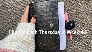Flip Through Thursday / Week 43 // Pink Planner Girl