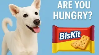 Every Day, He Waits for His Biscuit #DogLovesBiscuits#StreetDogStory#StrayDogLove#DogTreatTime#Biscu