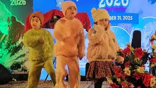 Сонамарг готов встретить Новый 2026 год под снегопадом; туристы делятся восторженными отзывами.