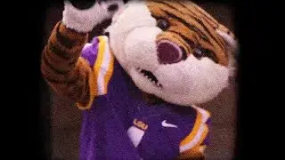 The Tiger Years: Mike's First Birthday
