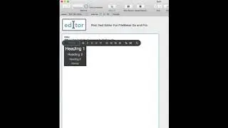 Editor