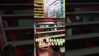 Mii Shanzii in a shopping store🏢