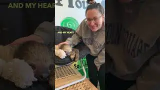 Painting the Slowest Muse: Andi&rsquo;s Live Two-Toed Sloth Encounter