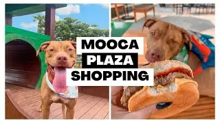VLOG : PET FRIENDLY #2 - Mooca Plaza Shopping | Pra&ccedil;a Pet | Pet Park