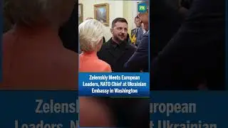 Zelenskiy Meets NATO Chief, European Leaders at Ukrainian Embassy in Washington