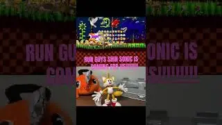 Shin sonic is chasing me and my puppy(dog) and the others