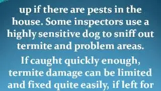 What to expect from Pre-Purchase Building and Pest Inspections