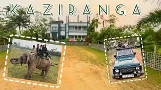 Hotel Shivaji Inn, Kaziranga || Elephant & Jeep Safari details || Bangla Vlog