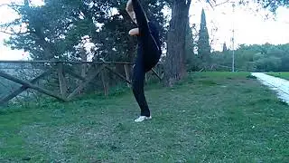 少林步行基本腿法 Shaolin buxing jiben tuifa