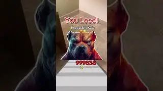 #cat #evolution #game impossible #tiktokgame #hungergamestiktok #shorts