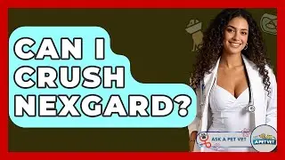 Can I Crush Nexgard? - Ask A Pet Vet
