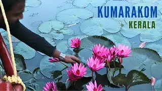 Vembanad Lake in Kerala must see from Kumarakom | Vembanad Lake Shikara Ride | Vembanad Lake