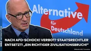 DEUTSCHLAND: Umfrage-Hammer! 39 Prozent für die AFD! Grüne wollen Verbot! Staatsrechtler entsetzt