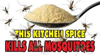 DIY Mosquito Spray That WORKS ($5 vs $40!) Wait Until Ingredient #3