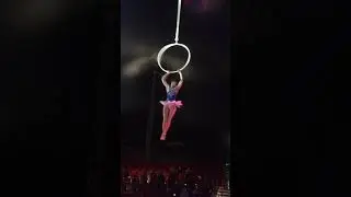 Loren Allred - Never Enough (aerial hoop France Medrano circus 2019)