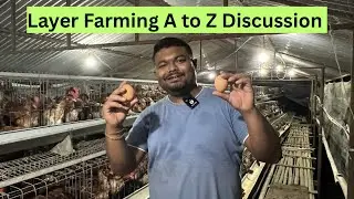 Layer Farming Information A to Z / Layer Poultry Farm Business Plan