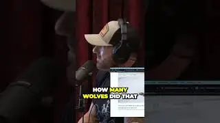 Shocking Wolfpack Behaviors Uncovered What You Didnt Know About Their Surplus Killing