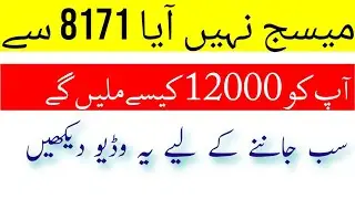 Ehsas Emergency Cash Insaf Imdad Rupee 12000 Payment | 8171 Massage Updates | Massage Updates | Pak