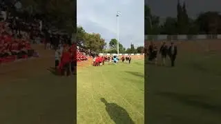Blue bulls vs sharks mascot