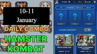 Hamster Kombat Daily Combo | Hamster Kombat Daily Combo Today 10-11 January | Hamster Kombat Combo