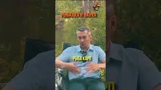 Отчего карп быстрее растёт Рыбалка И Наука #shorts