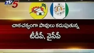 TDP & YSRCP 