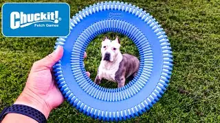 Chuck it! Rugged Flyer glow in the dark (not well) Dog Toy review with Stella