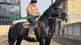 ПОЛЬША  КУНАН  ЮСУФ  НООКАТ 