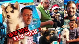 Gallif Street Pet Market Kolkata | Recent Dog Puppy Price Update | Dog Price | Gallif street kolkata