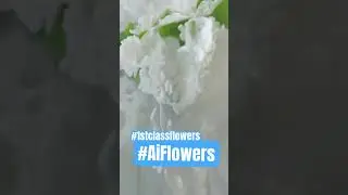 Vector flower illustrator AI