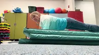 Wed., Feb. 4, 2026. Day 17 of 30-5 Minute Plank Challenge!
