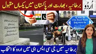 Urdu: One of the most popular LANGUAGE in UK, India and Pakistan | Adina Awan passes GCSE in URDU