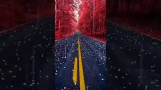 Amazing Snow-fall view || beautiful red trees along the road || short video