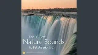 Relaxing Sound of a Fire, Deep Sleep, Fire Sound, Flames, Fuego, Feu, 火 , 火災,...