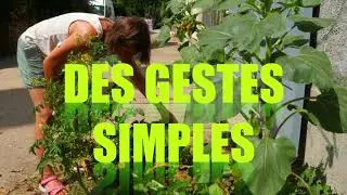 G&eacute;rer ses d&eacute;chets verts : recette et mode d&rsquo;emploi