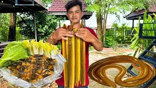 Eel on ice unique recipe eating with garlic mix with chili sauce | Asian food