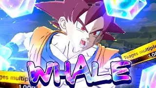 💎WIN AND WHALE💎 L'IMPOSSIBLE SE PRODUIT... INVOCATIONS GOKU GOD LF 6 ANS ! DB LEGENDS