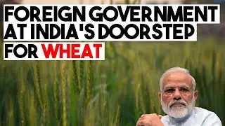 Foreign government at India's doorstep for wheat