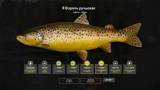 рр4 река Нижняя Тунгуска Форель Ручьевая на Orig Popper 4-F006. Brook Trout