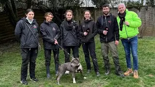 SPA Genève | Chiens à adopter 17 mars 2025