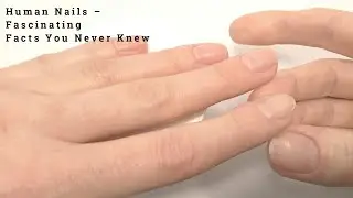 Nails  Tiny Windows into Your Health, Habits, and Evolution