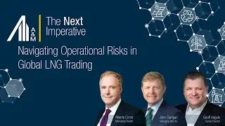 Navigating Operational Risks in Global LNG Trading