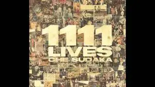 13. Amores (el trenecillo) - Che Sudaka - 1111 lives