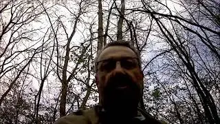 Morilles le 19 04 2021