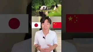 Любят ли японцы Китай? Опрос показывает...