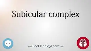 Subicular complex   Anatomy of the Brain   SeeHearSayLearn 🔊