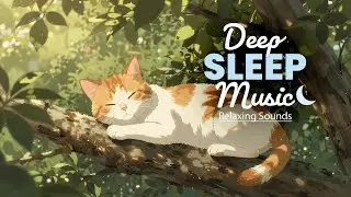Lo-Fi for Deep Sleep 🍃 | Eyes Grow Heavy