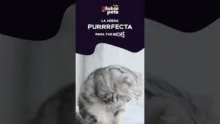 GlobalPets